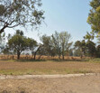 Se vende terreno en Cajititlán