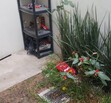 Residencial Los sauces