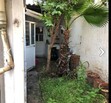 La Guadalupana,