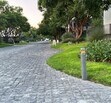 Arauca II