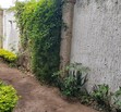 Excelente Casa en Venta en Fracc. Monraz dentro de coto