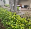 Casa en Los Pinos Campestre