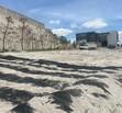 PUNTA LOMA