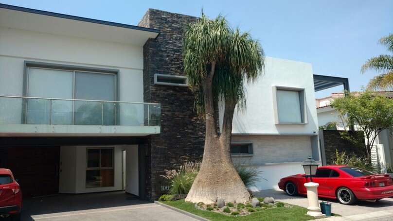 VALLE REAL